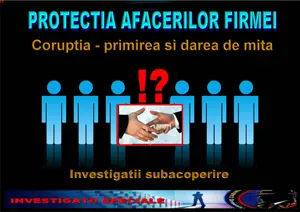 Servicii persoane juridice - CIDP - Ormenisan Daniel - Protectia afacerilor firmei, Coruptia, primirea si darea de mita